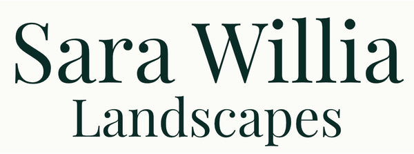 Sara Willia Landscapes